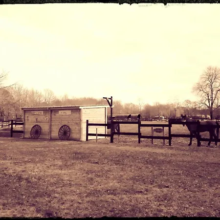 B&B Le Ranch Amadeus Saint-Paul-en-Born