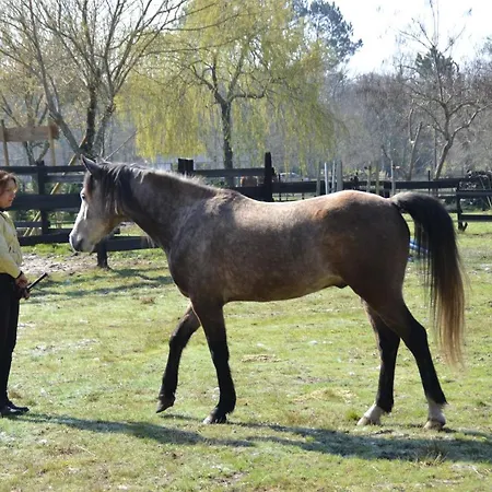 Bed & Breakfast Le Ranch Amadeus