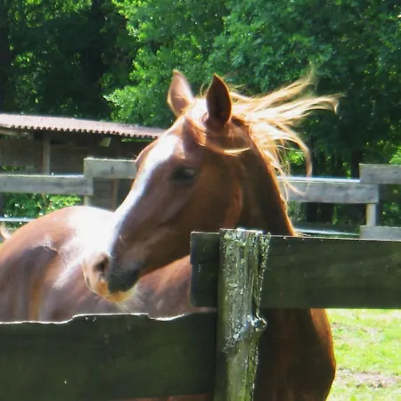 Le Ranch Amadeus 3*