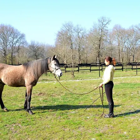 Bed & Breakfast Le Ranch Amadeus Saint-Paul-en-Born