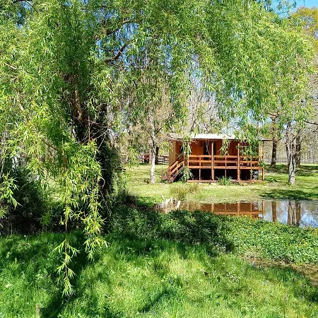 Le Ranch Amadeus Saint-Paul-en-Born