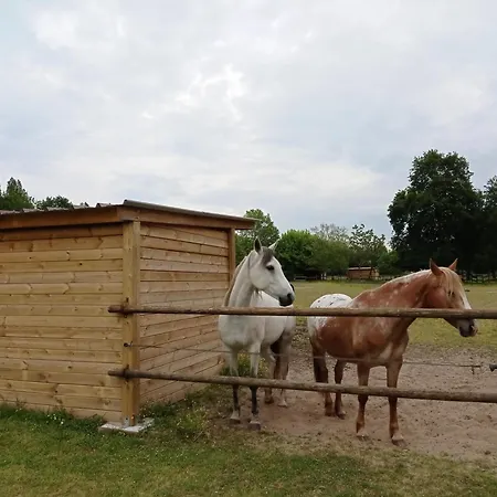 B&B Le Ranch Amadeus 3*