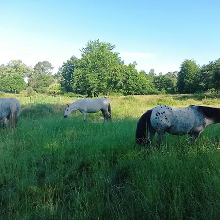 Le Ranch Amadeus B&B