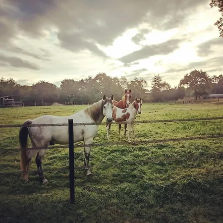 Le Ranch Amadeus B&B