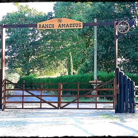Le Ranch Amadeus Saint-Paul-en-Born