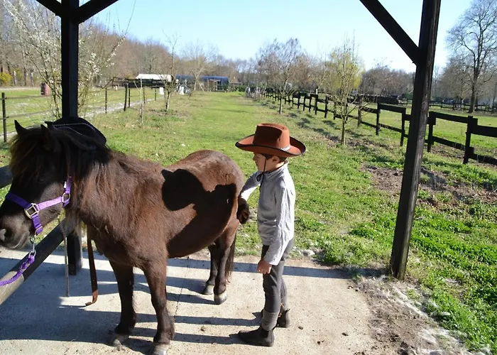 ベッド・アンド・ブレックファスト Le Ranch Amadeus