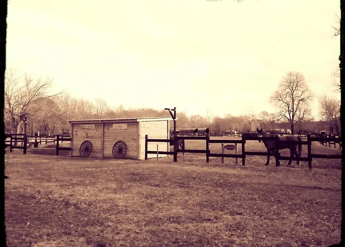 ベッド・アンド・ブレックファスト Le Ranch Amadeus Saint-Paul-en-Born