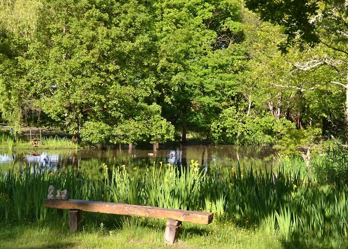 Le Ranch Amadeus ベッド・アンド・ブレックファスト 3*