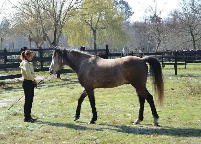 ベッド・アンド・ブレックファスト Le Ranch Amadeus