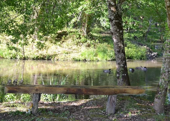 ベッド・アンド・ブレックファスト Le Ranch Amadeus Saint-Paul-en-Born