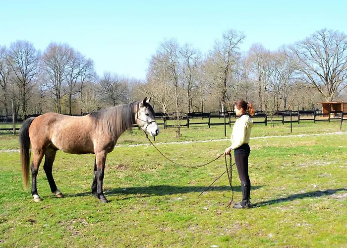 ベッド・アンド・ブレックファスト Le Ranch Amadeus Saint-Paul-en-Born