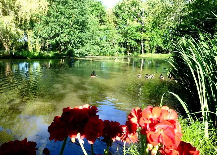 ベッド・アンド・ブレックファスト Le Ranch Amadeus 3*