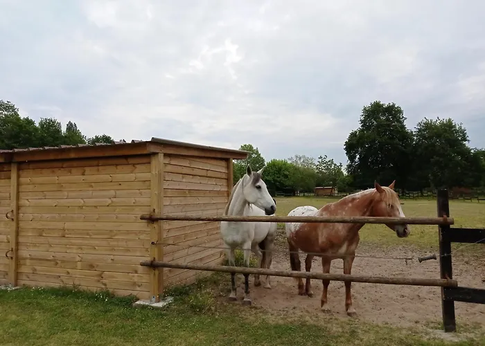 ベッド・アンド・ブレックファスト Le Ranch Amadeus 3*