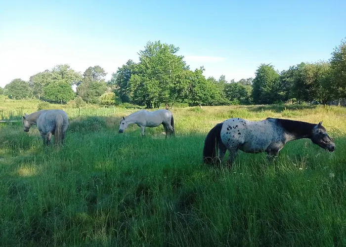 Le Ranch Amadeus ベッド・アンド・ブレックファスト