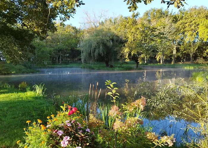 Le Ranch Amadeus ベッド・アンド・ブレックファスト Saint-Paul-en-Born