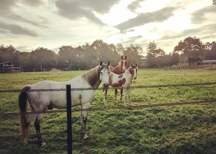 Le Ranch Amadeus ベッド・アンド・ブレックファスト